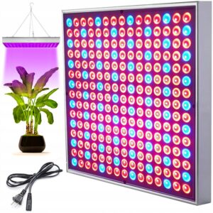 861800284b44543147cfa3962d1b7b17